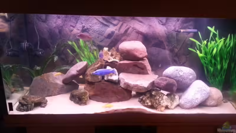 Steinaufbauten fürs erste etwas erweitert von Malawi Maik (8)