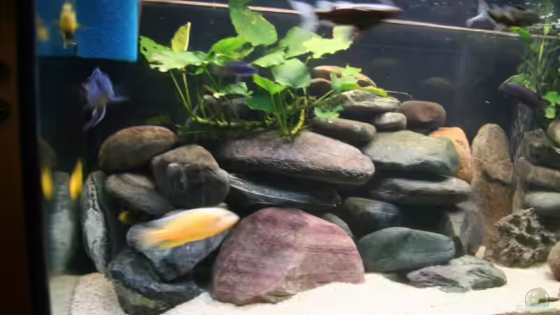 Steinaufbauten in der linken Seite von lützkopf (7)