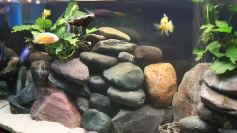 Steinaufbauten in der linken Seite von lützkopf (9)