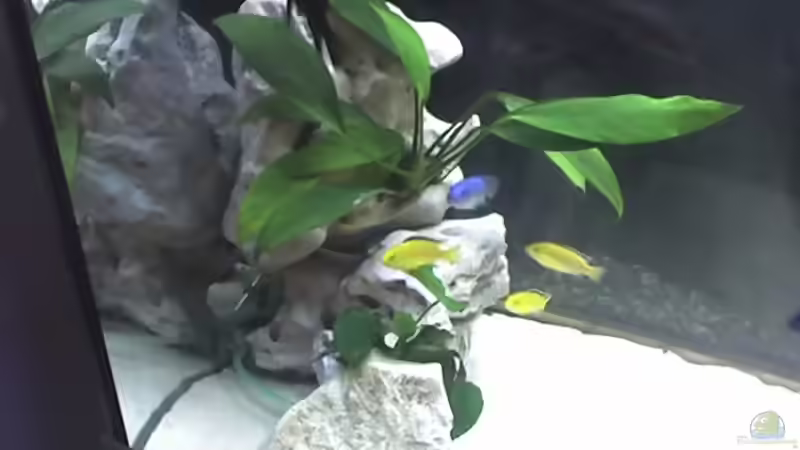 Steinaufbauten in der linken Siete (57cm hoch) von Heiko Rodegast (11)