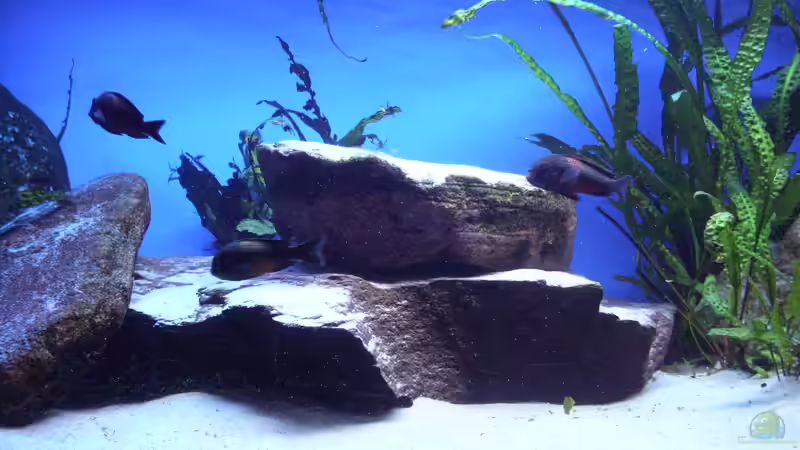 Steinaufbauten in der Mitte des Beckens von Niklot (5)