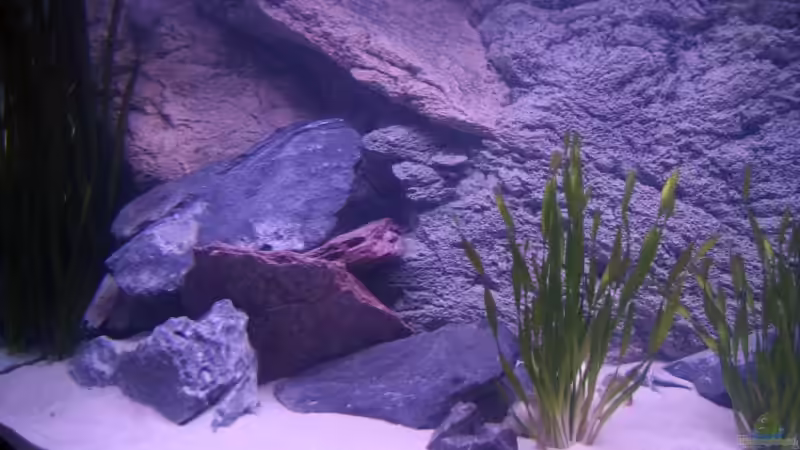 Steinaufbauten Links von Martin Hänggi (8)