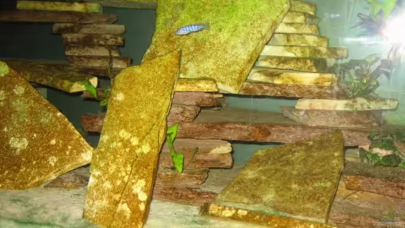 Steinaufbauten mit Bepflanzung von Dennis Eick (5)