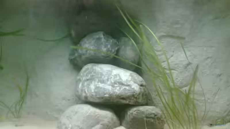 Steinaufbauten Mitte von Alex Stark (4)