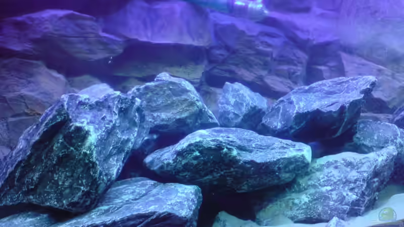 Steinaufbauten nach Einlassen des Wassers von FinalDragon (14)