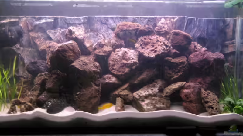 Steinaufbauten neu 08.08.09 von Gladbacherfohlen86 (16)