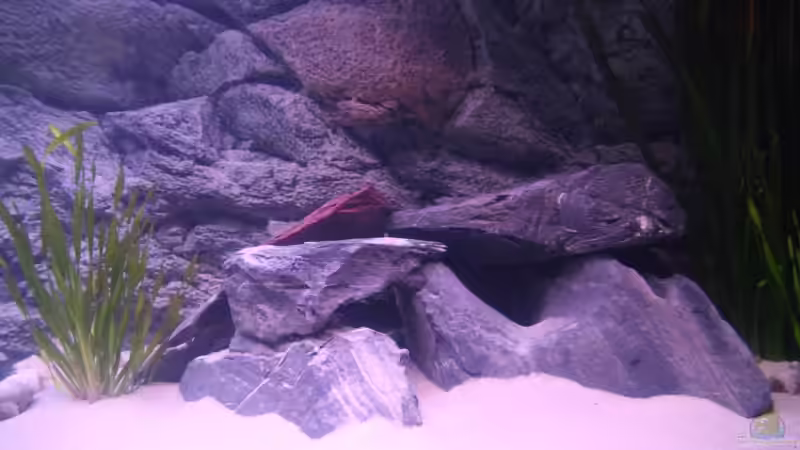 Steinaufbauten Rechts von Martin Hänggi (9)