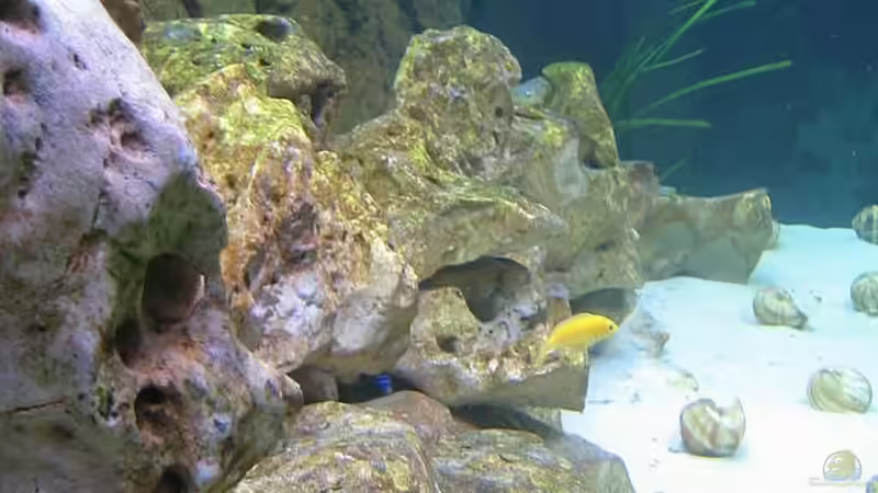 Steinaufbauten seitlich. von Oliver Knönagel (12)