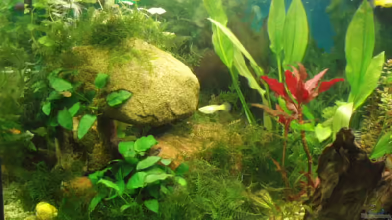 Steinaufbauten von Jason (14)