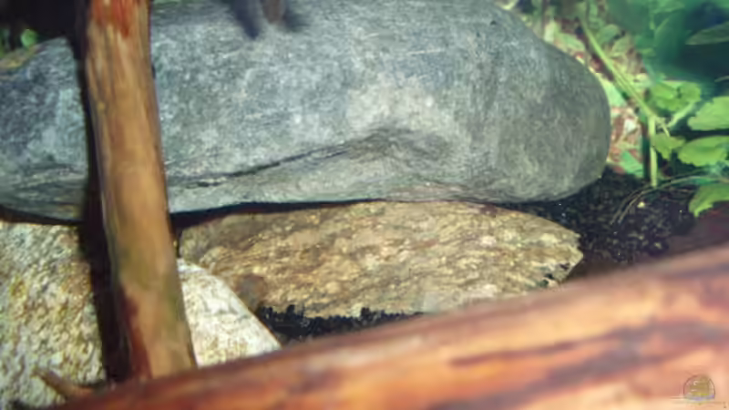 Steinaufbauten von Jason (8)