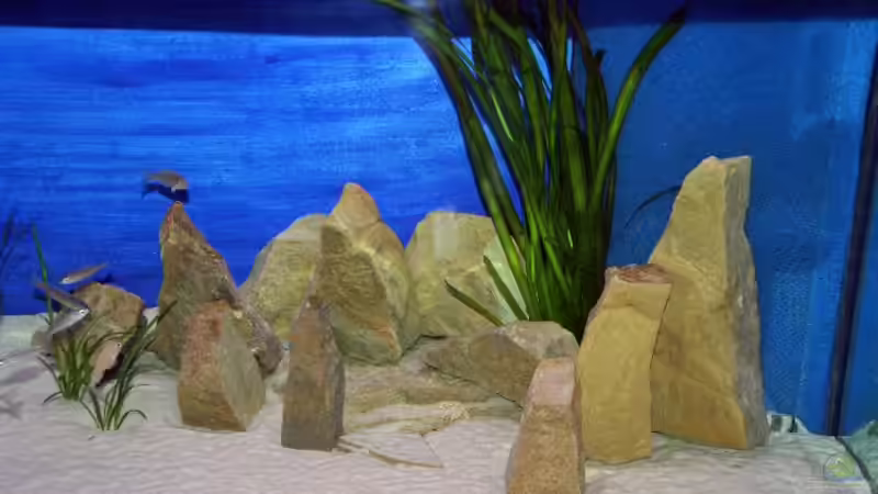 Steinaufbauten von Rainer König (2)