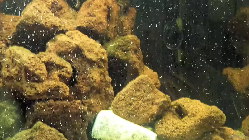 Steinaufbauten von Rainer Wiegand (7)