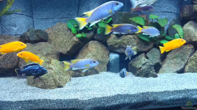 Steinaufbauten von Sven 76 (3)