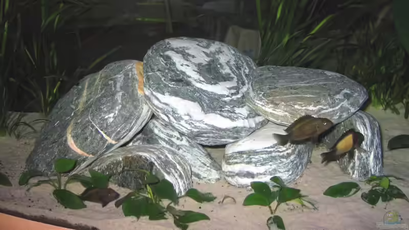 Steinbrocken von Hubert Demonty (8)