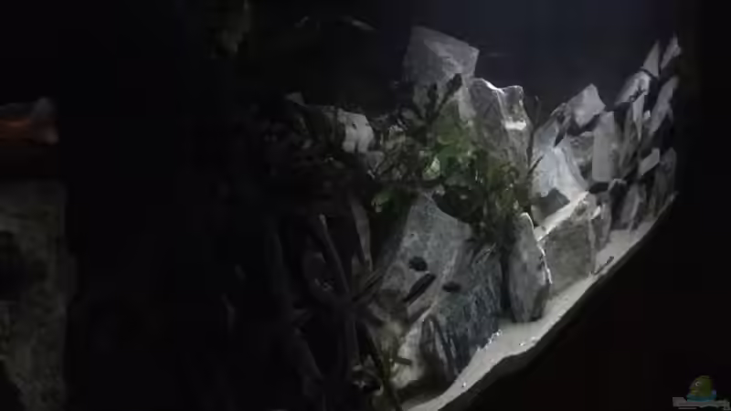 Steinbruch von links nach rechts fotografiert von Lippi (3)