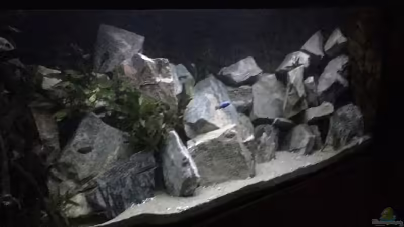 Steinbruch von Lippi (2)