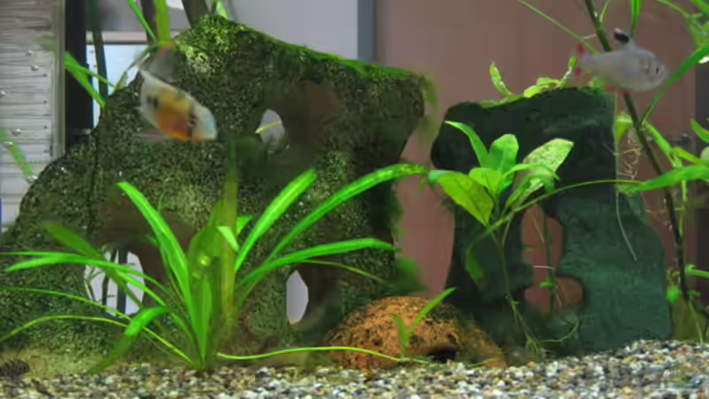 Steindeko mit Bohrungen von tomtirol (4)