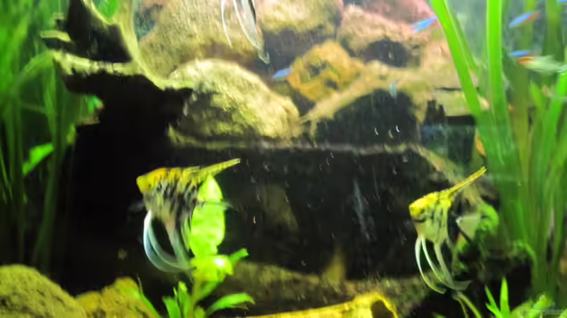 Steine... von Tommy Büttner (5)