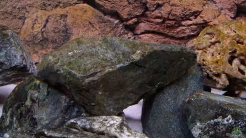 Steine, die noch komplett lackiert und mit Epoxi versiegelt werden müssen! von Vladi (14)