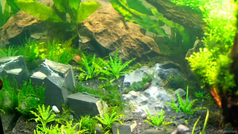 Steine, Lochstein & Schiefer von xstedt (13)