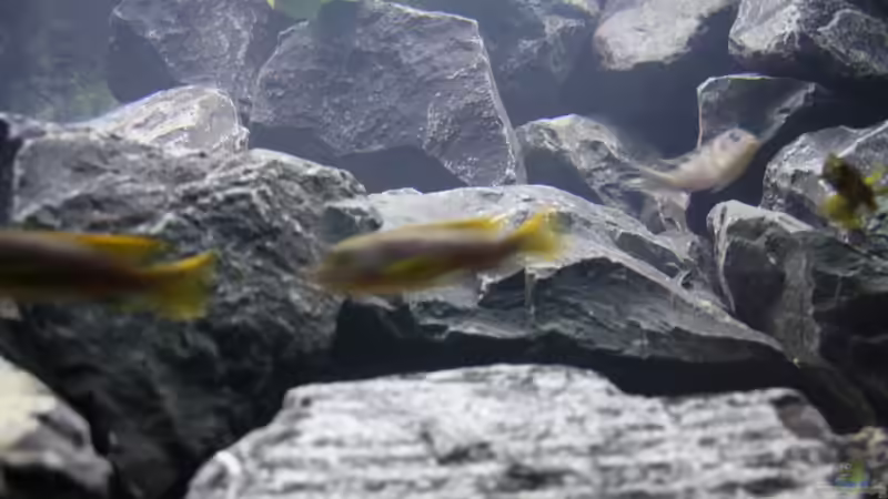 Steine, Steine, Steine von JörgsMalawis (25)