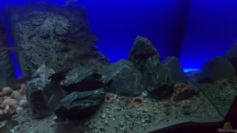 Steine  von Pierre (9)