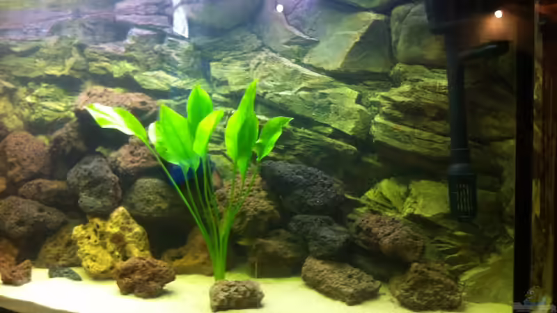 Steine 2 von Patrick S. (6)