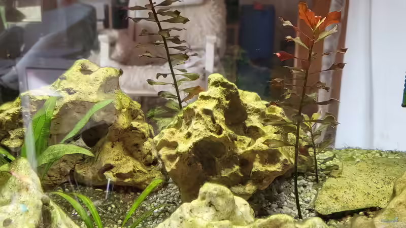 Steine 2022 von Juno (14)