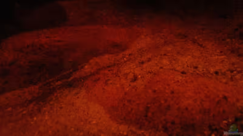 Steine & Sand nr. 3 /21.06.2013/ von Südamerikafreak BK (43)