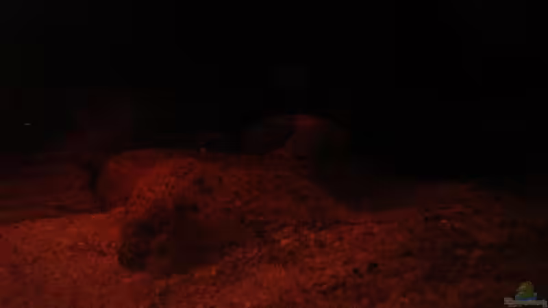 Steine & Sand nr. 5 /21.06.2013/ von Südamerikafreak BK (45)