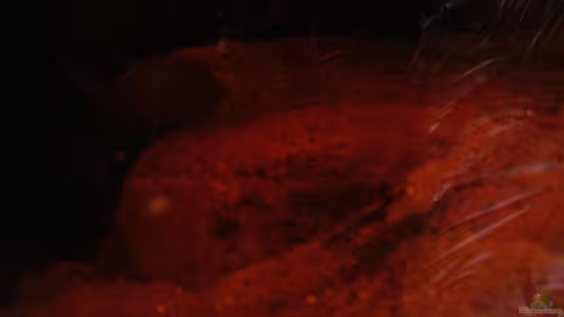 Steine & Sand nr.1 /21.06.2013/ von Südamerikafreak BK (41)