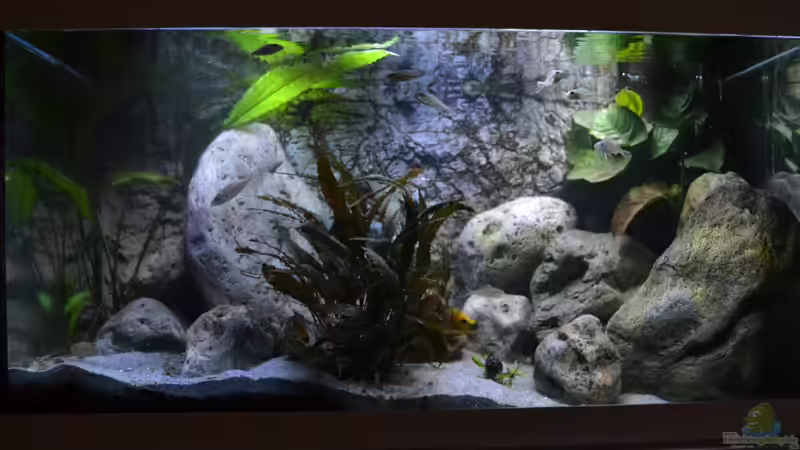 Steine & Sand von falleb (1)