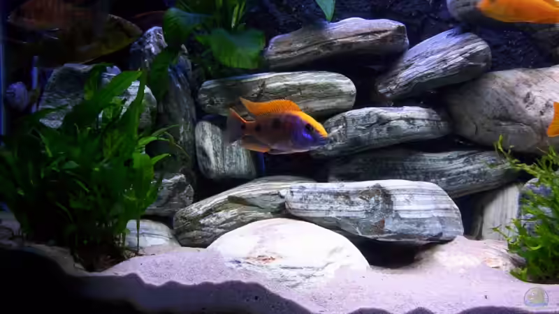 Steine aufgeschichtet mit vielen Höhlen von Roland Hofmann (2)