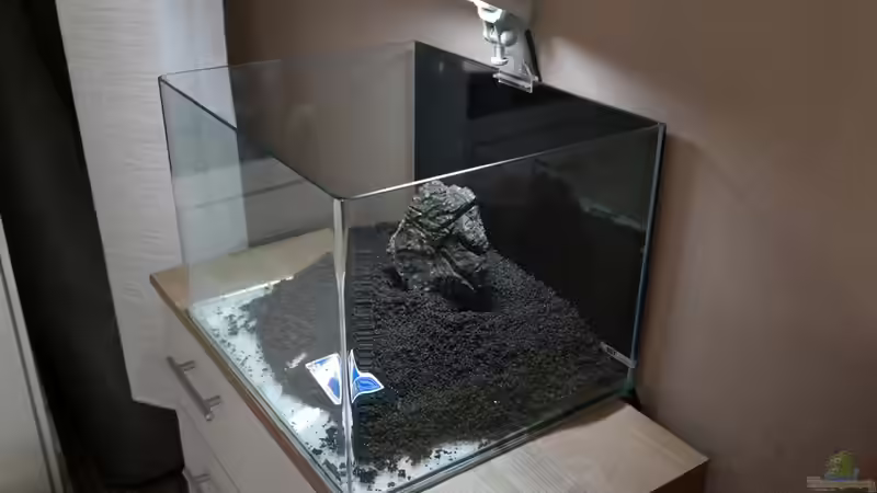 Steine drehen. von DatNicky (12)