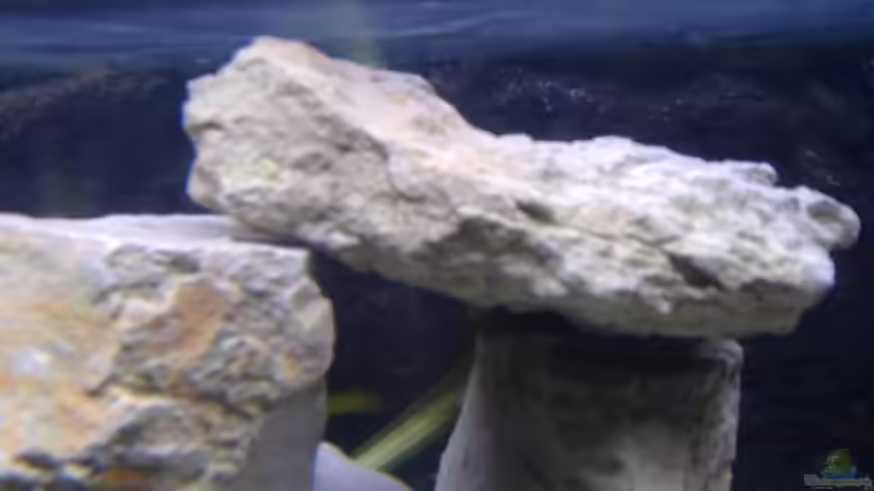 Steine gehen bis zur Wasseroberfläche von Milatz Darian (12)