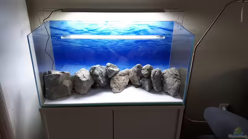 Steine gesetzt von Der Nicky (47)