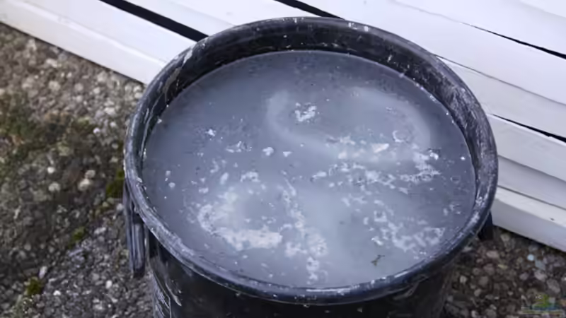 Steine in 3 Eimer gewässert (8 Tage, 4x Wasser gewechselt) von boffix (24)