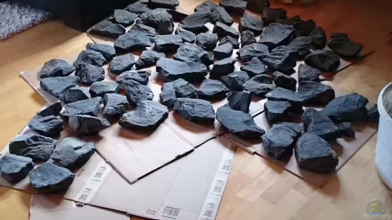 Steine in den 1. Stock geschleppt, der Muskelkater ist vorprogrammiert! von Tobias Summerer (28)