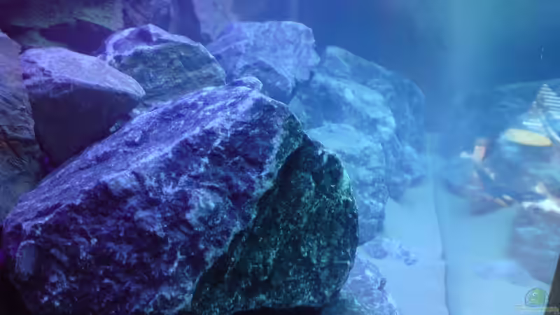 Steine mal seitlich gesehen... von FinalDragon (15)