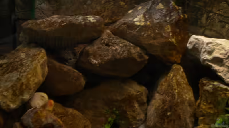 Steine mit Patina von Herki (4)