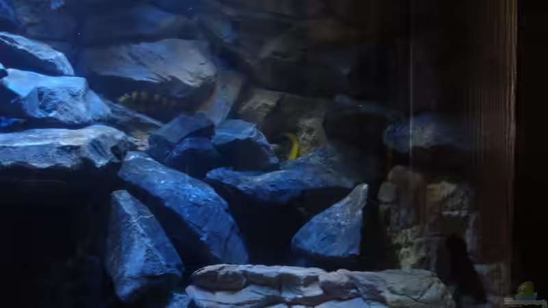 Steine noch über die Mitte gezogen und rechts bis unter die Wasseroberfläche von Sebastian O. (15)