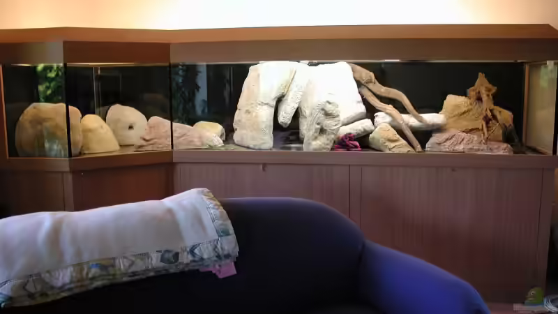 Steine probeweise eingebracht. im oberen Bereich fehlen noch Steine. von Martin Eberhardt (2)