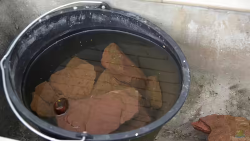 Steine putzen. von Duder Malawikus (8)