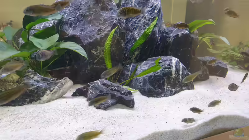 Steine rechts von Ravy (9)