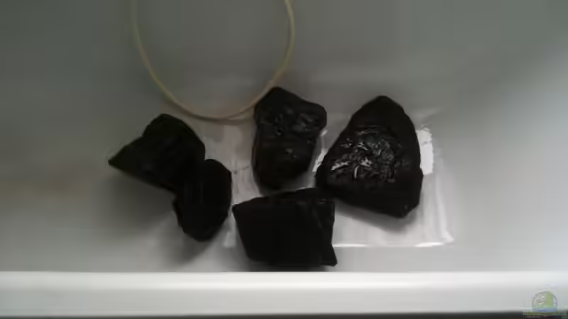 Steine säubern die Erste. von Bitman (17)