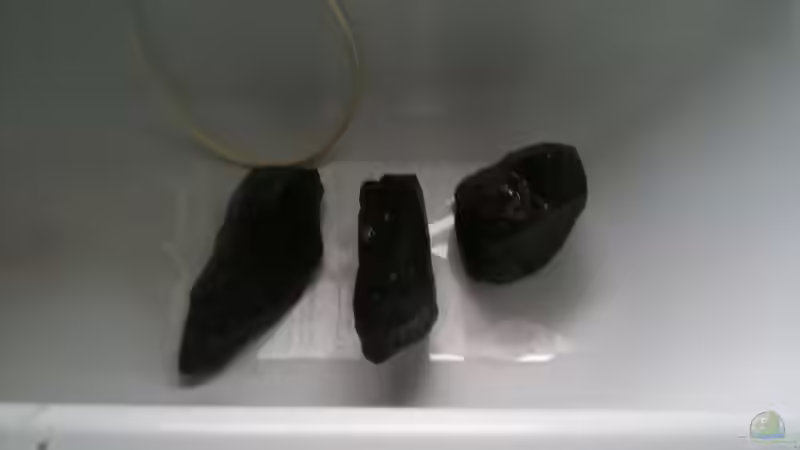 Steine säubern die Zweite. von Bitman (16)