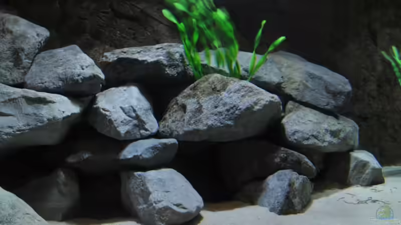 Steine schräg von Lars Schnabel (6)