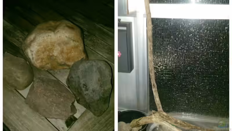 Steine,Steine und Treibholz von Miss Kasimir (14)