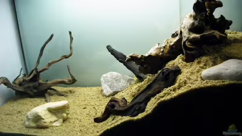 Steine stellen eine Hilfe zur arretierung des Hangs dar aberauch Findlinge von Falk (14)