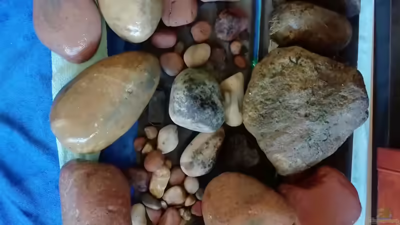 Steine und Kiesel von - Stephen - (24)